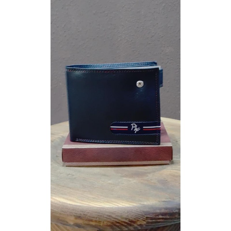 CARTERA CABALLERO CESAR