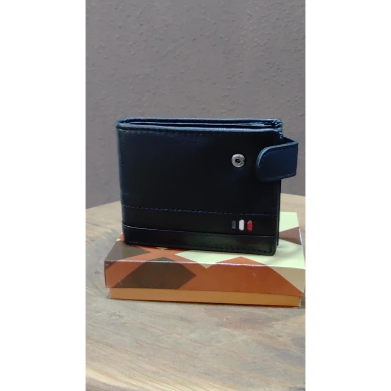 CARTERA CABALLERO FRAN 