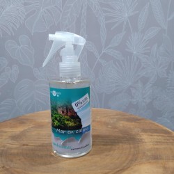 AMBIENTADOR SIN ALCOHOL MAR EN CALMA  200ML