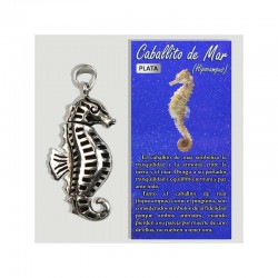 COLGANTE CABALLITO DE MAR PLATA  XXL
